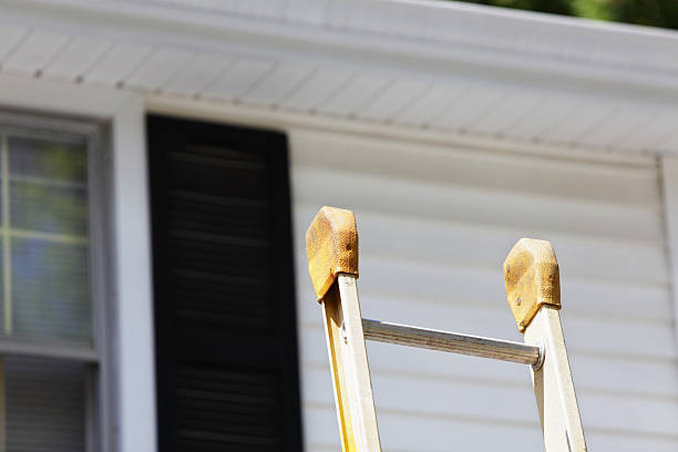 Shed Removal in Lake Tapps, WA